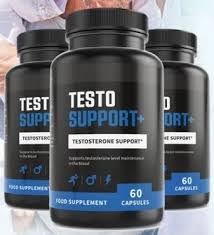 Testo Support Plus – prix – Amazon – site officiel
